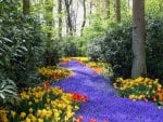 beautiful purple pathway thru the forest