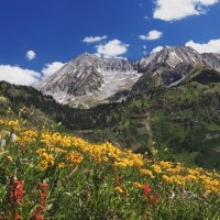 meadow at lead-king-basin colorado