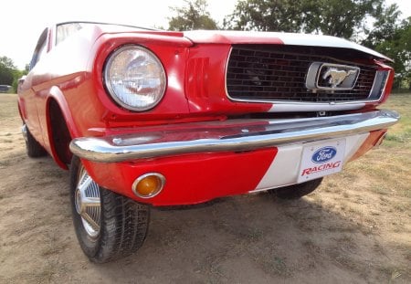 Mustang Up Close and Personal - mustang, can, ford, ford mustang, stang