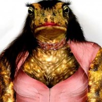 Frog Series#23   -Frog Lady2