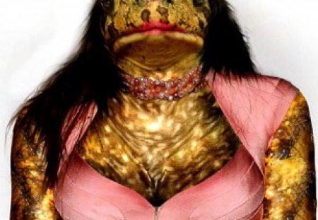 Frog Series#23   -Frog Lady2 - lady2, 23, frog, series