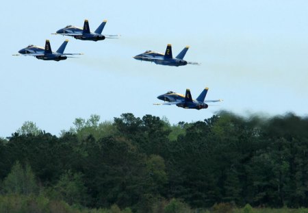 blue angels - aircraft, wings, trees, military