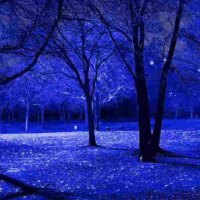 Blue Night Trees