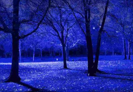 Blue Night Trees - blue city, midnight blue, night blue, blue night, blue night trees, city, blue night city, city night