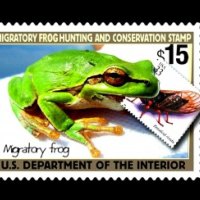 Frog Series#26   -Frog Stamp