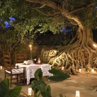 Romantic Dinner on the Beach