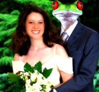 Frog Series#25   Happily Ever After