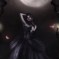 Gothic Midnight