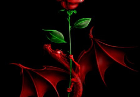 Rose And Dragon - rose, dragon, red, dark