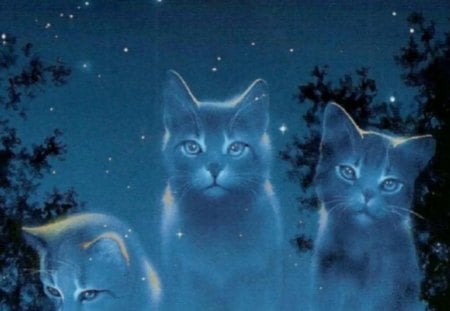 StarClan - warriors, clans, starclan, cats