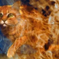 Firestar