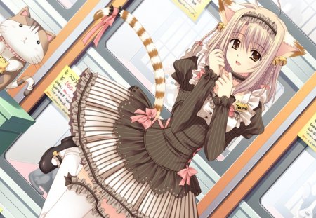 Sakurako Tono - anime cat girl, brown, sekajyo, sakurako tono, cat, kitty, anime, anime girl