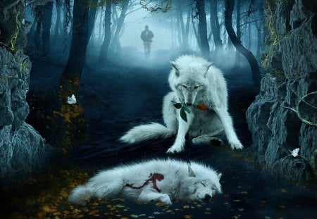 The Lost Rose - wolves, dark, rose, animals