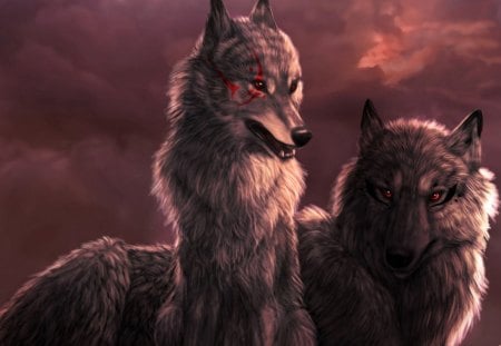 Wolf - animal, wolf, dark, forest