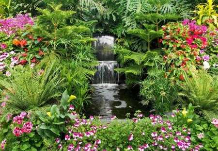 GARDEN OF JOY - flowers, waterfalls, ferns, tropical, gardens, plants, water features, foliage