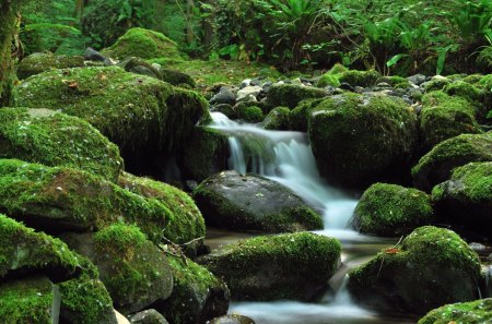 Paradise - paradise, water, green, waterfall, rocks