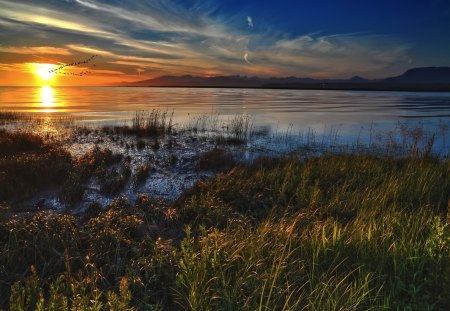 Warmth - warmth, marsh, sunset, beach water