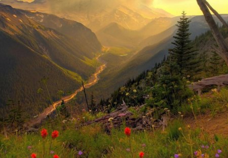 LOFTY MOUNTAIN MAJESTY - trees, panorama, valleys, mountains, mountainscapes, wilderness, clouds, flowers, poppies, landscapes