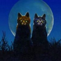 Night Cats