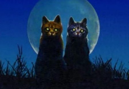 Night Cats - moon, warriors, clans, fire and ice