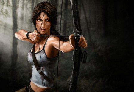 Tomb Raider - video, raider, tomb, game