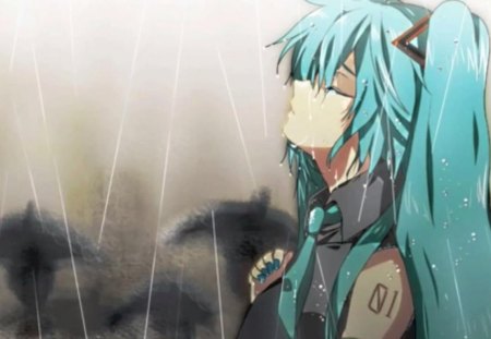 Miku Hatsune - hatsune, miku, rain, blue