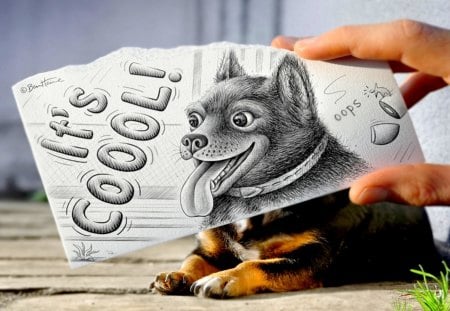 IT's COOL!! - dog, hand, animal, drawing, inscription