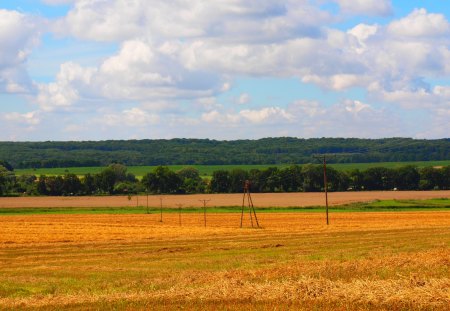 pole - pole, niebo, sky, fields