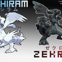 Zecrom and Reshiram Pokemon Black an White