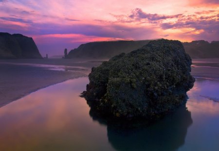 rock in a tidal pool - rock, poll, clouds, beach