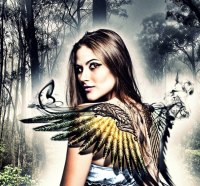 Earning My Wings