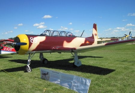 Airplane at the air show in Alberta 04 - airplane, yellow, beige, brown, Military