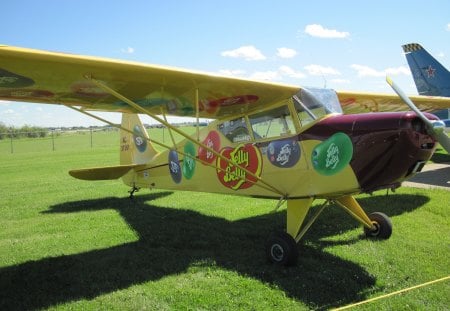 Airplane at the air show in Alberta 07 - sky, airplane, yellow, private planes, blue, green, grass