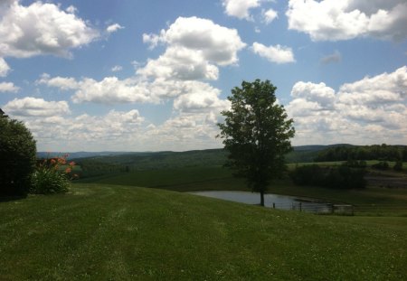 Haley Is My Love - field, pond, clouds, sun