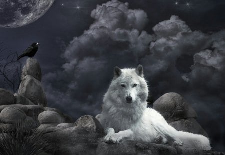 Night_Guard_Wallpaper - clouds, crow, rocks, wolf