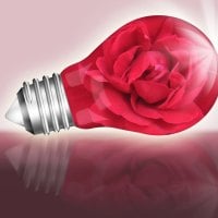 â™¥  Light Bulb With Red Rose  â™¥