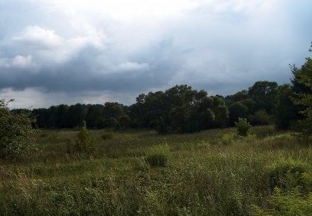 landscape near Siewierz - lea, trees, landscape, clouds, grass