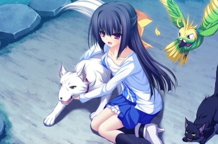 Yukari Minase - anime, anime girl, dog, yukari minase, parrot, cat, lunaris filia, animals, kitty