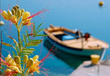 FOCUS ON FREESIA - water, blue, foreground, flowers, boats, sailing, leisure, plants, lakes