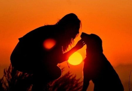 A SWEET MOMENT BETWEEN FRIENDS - love, silouettes, labradors, lady, sundown, people, animals, sun, tenderness, pets, sunsets, dogs, orange, friends, companions, grass