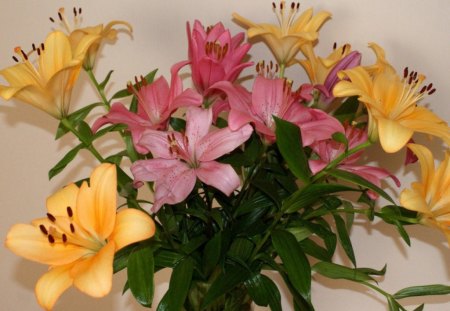 LOVE LILIES - lilies, bunches, yellow, bouquets, pink, flowers, arrangements