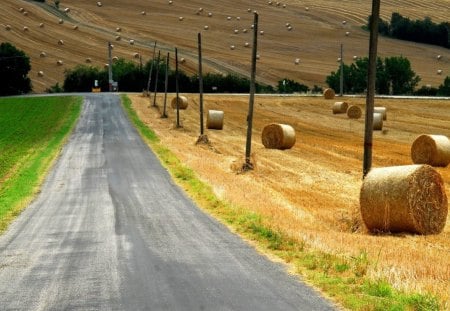 Road - nature, field, road, barn