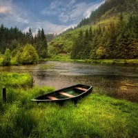 A boat on the riverbank