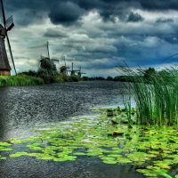 Mills on the riverbank