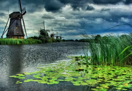 Mills on the riverbank - calm, evening, lillies, reflection, dark, riverbank, mills, lake, nice, storm, greenery, water, beautiful, pond, lovely, afternoon, river, nature