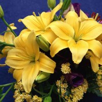 Bouquet of Yellow Flowers