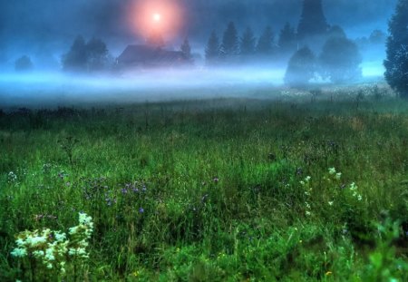 Moonlit Night - lush, fog, beautiful, green, grass