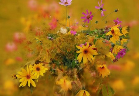 GOLDEN HAZE - table decoration, bouquet, gold, yellow, posies, stem, flowers, colors, daisies, cosmos