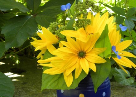 SUNNY AND BRIGHT - gardens, vase, yellow, blue, leaves, happiness, flowers, daisies, pottery