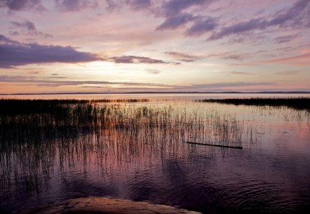 LAGO - agua, lago, natureza, lilas